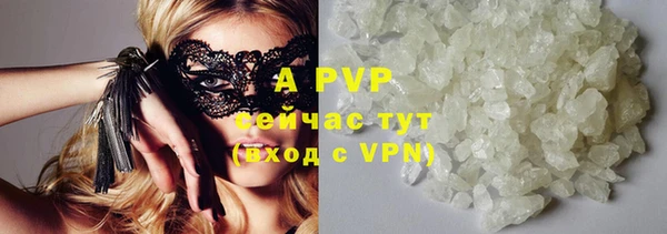 винт Алексин