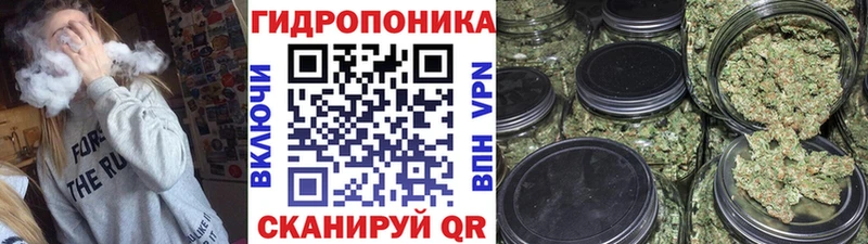 даркнет клад  Солигалич  Бошки марихуана гибрид 